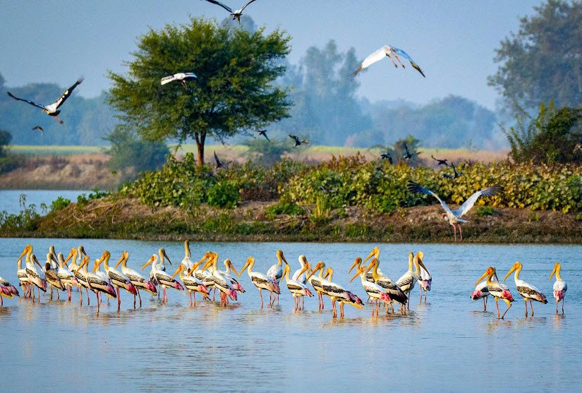 Lakh Bahosi Sanctuary, Kannauj, Uttar Pradesh - Vushii.com Lakh Bahosi Sanctuary, Kannauj, Uttar Pradesh - Vushii.com